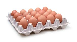 Eggs Tray