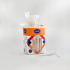 Teepee Wooden ToothPick